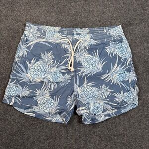 Vilebrequin Moorea Mens Blue Pineapple Print Swim Trunks Board Shorts Size M